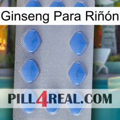 Ginseng Para Riñón 21